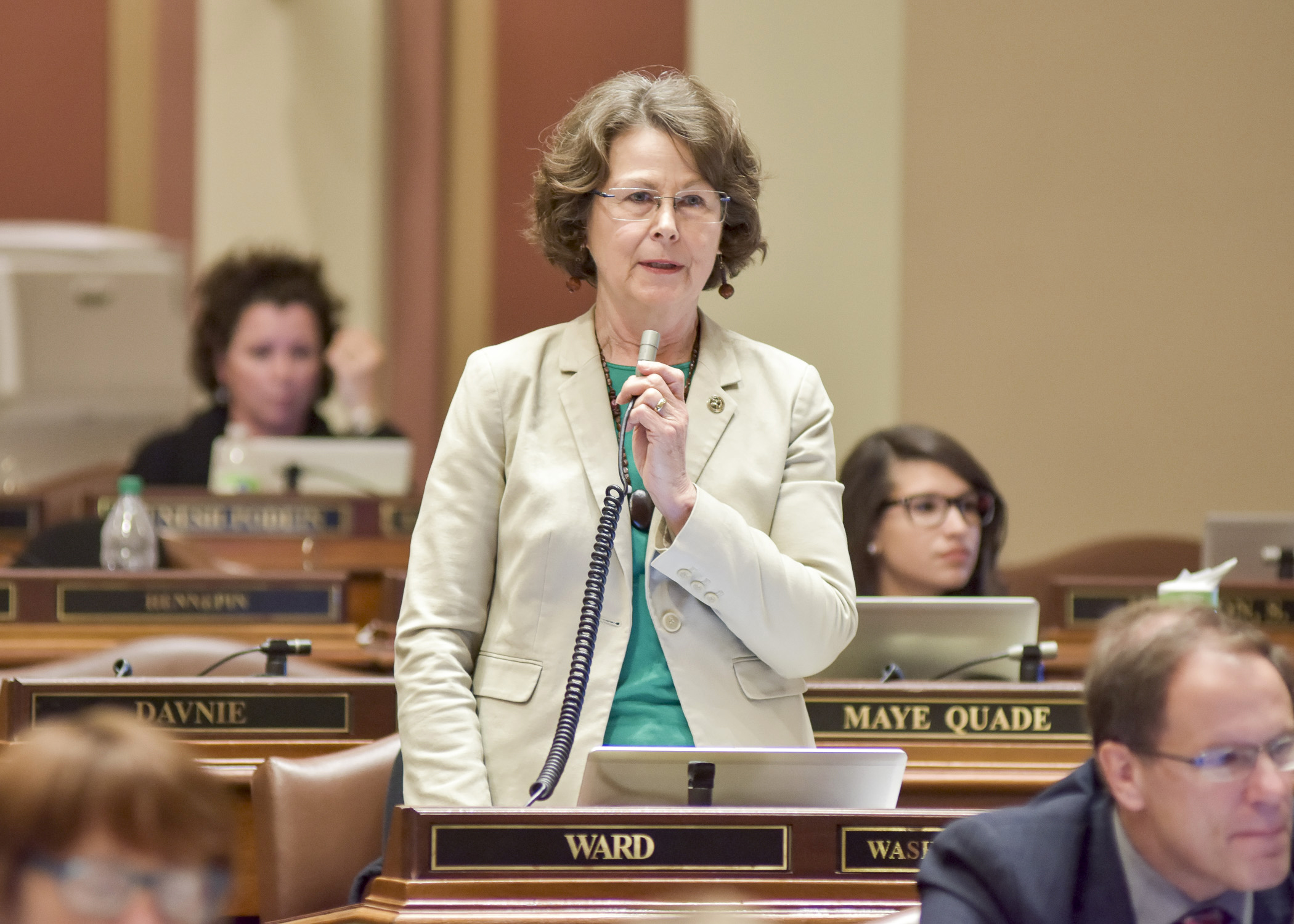 Rep. JoAnn Ward, pictured on the House Floor during the 2017 session, will not seek re-election to the House in November 2018. Photo by Andrew VonBank